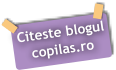 Blogul copilas.ro